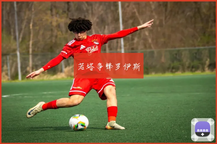 若塔争锋罗伊斯