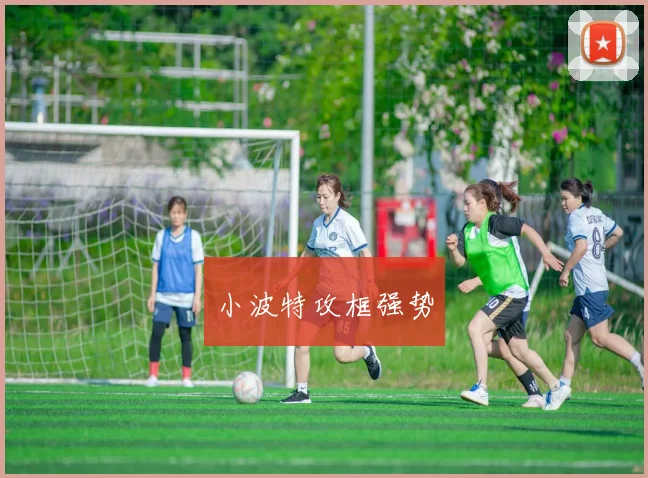 小波特攻框强势
