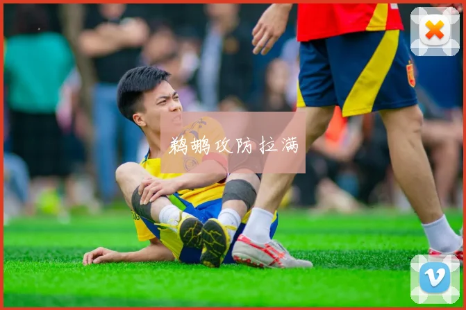 鹈鹕攻防拉满
