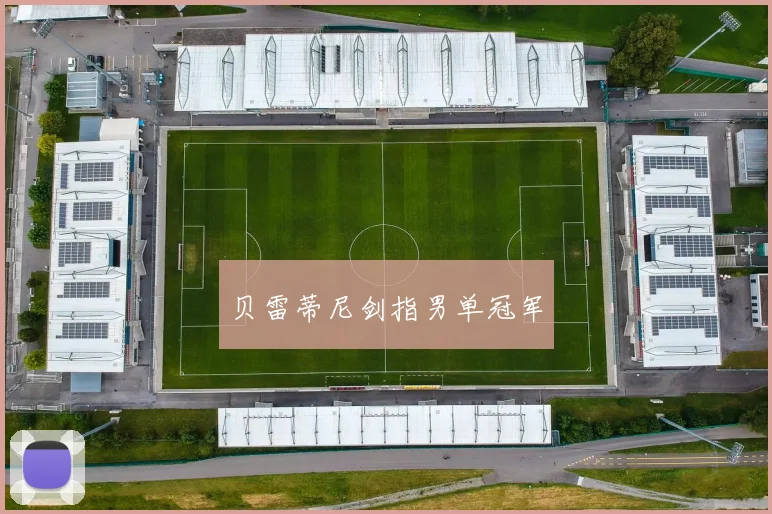 贝雷蒂尼剑指男单冠军