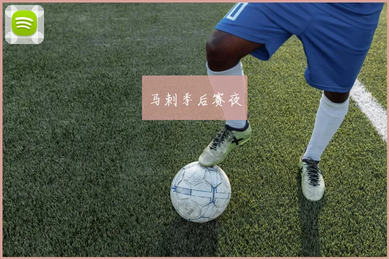 马刺季后赛夜
