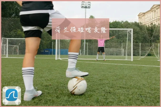 荷兰强碰喀麦隆