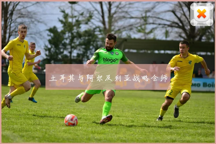 土耳其与阿尔及利亚战略会师
