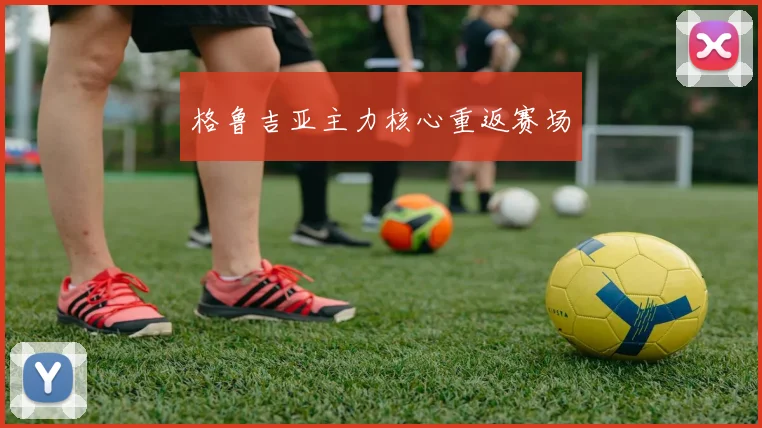 格鲁吉亚主力核心重返赛场