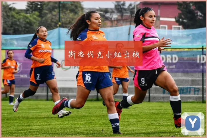 斯洛伐克小组出线