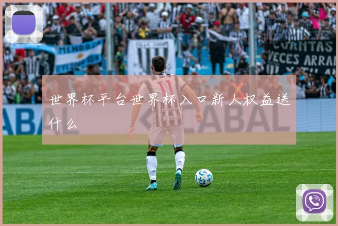 世界杯平台世界杯入口新人权益送什么