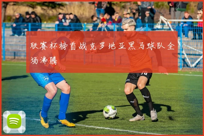 联赛杯榜首战克罗地亚黑马球队全场沸腾
