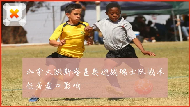 加拿大欧斯塔基奥迎战瑞士队战术任务盘口影响