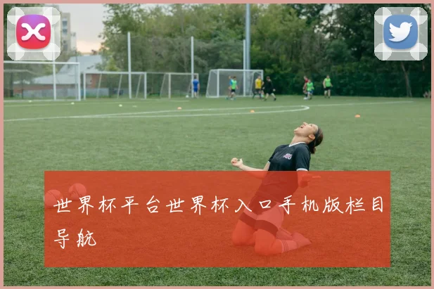 世界杯平台世界杯入口手机版栏目导航