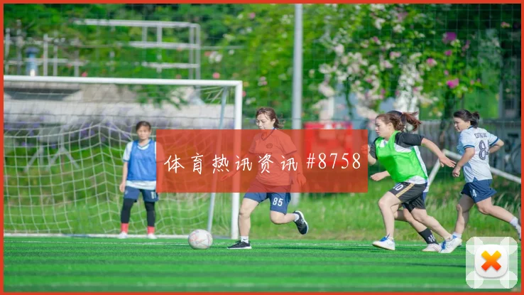 厄瓜多尔对科特迪瓦E组战术分析