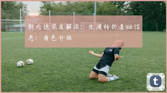 斯内德深度解读：生涯转折基础信息：角色升级