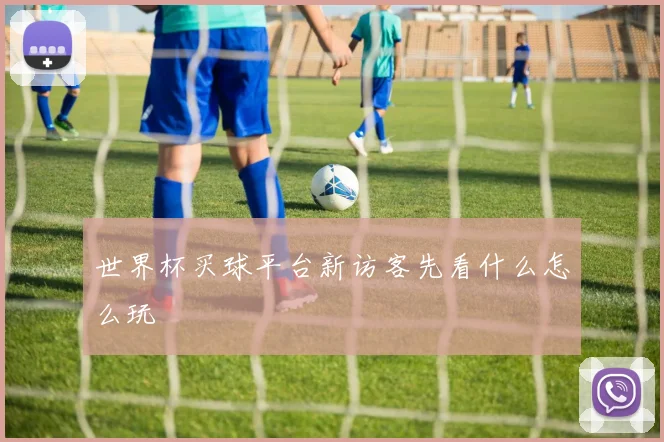 世界杯买球平台新访客先看什么怎么玩