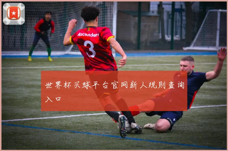 世界杯买球平台官网新人规则查询入口