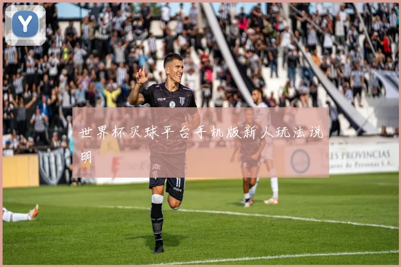 世界杯买球平台手机版新人玩法说明